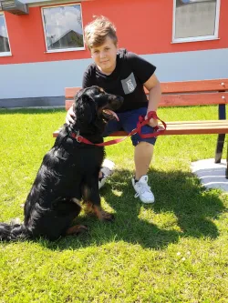 Fotografia miesta 2 od Útulok Piešťany