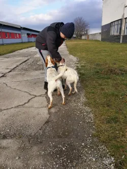Fotografia miesta 3 od Útulok Piešťany
