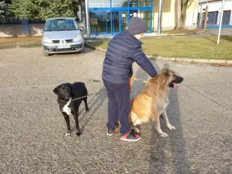 Fotografia miesta 4 od Útulok Piešťany