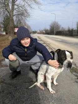 Fotografia miesta 8 od Útulok Piešťany