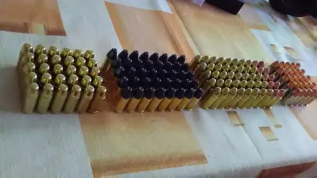 Fotografia miesta 9 od Útulok Piešťany