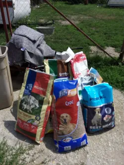 Fotografia miesta 7 od Útulok pre opustených psov v Nových Zámkoch