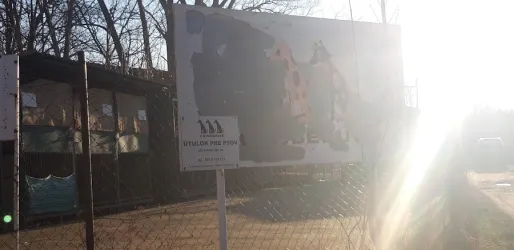 Fotografia miesta 2 od Útulok Senica – Cerberus, n.o.