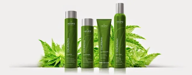 Fotografia miesta 1 od Preprava opatrovateliek - Stoneage s.r.o.