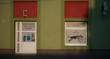 Fotografia miesta 4 od Veterinárna ambulancia LiptovVET- MVDr. Michal Barťák