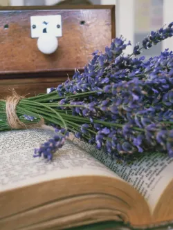 Fotografia miesta 7 od Stará Lekáreň Sereď