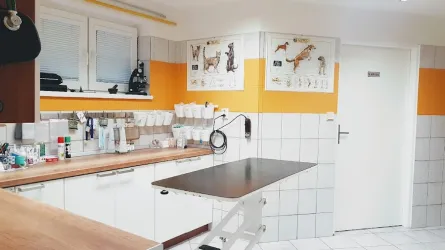 Fotografia miesta 1 od Animal Clinic - MVDr. Andrea Gloneková