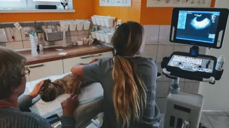 Fotografia miesta 3 od Animal Clinic - MVDr. Andrea Gloneková