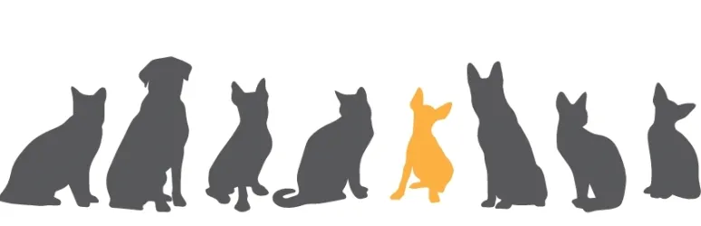 Fotografia miesta 6 od Animal Clinic - MVDr. Andrea Gloneková