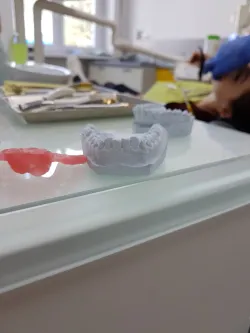 Fotografia miesta 1 od Ambulancia čeľustnej ortopédie, Ortodoncia Gazdík, s.r.o.