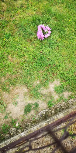 Fotografia miesta 8 od Všeobecná ambulancia pre dospelých, Sereď, (Mestská poliklinika Sereď, s.r.o.)