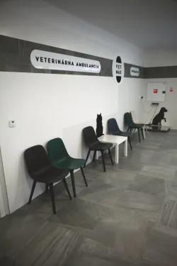 Fotografia miesta 4 od VETMAX veterinárna ambulancia
