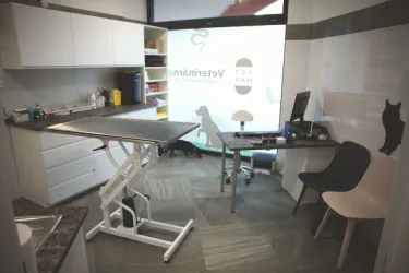 Fotografia miesta 9 od VETMAX veterinárna ambulancia