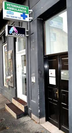 Fotografia miesta 2 od Veterinárna ambulancia Karpatská