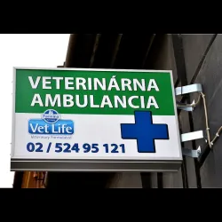 Fotografia miesta 5 od Veterinárna ambulancia Karpatská