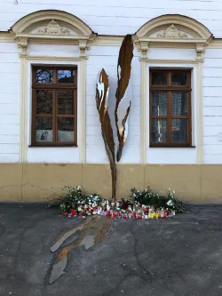 Fotografia miesta 10 od Psychiatrická ambulancia