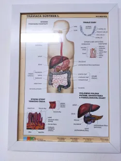 Fotografia miesta 4 od Praktický lekár pre dospelých - MUDr. Jana Gyepesová