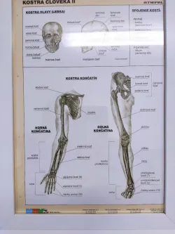 Fotografia miesta 6 od Praktický lekár pre dospelých - MUDr. Jana Gyepesová