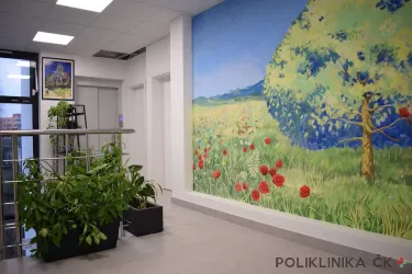 Fotografia miesta 2 od Imunoalergologická ambulancia - MUDr. Mária Džupinová MSc.