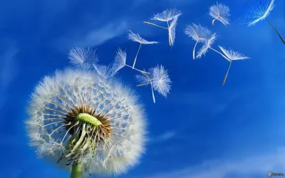 Fotografia miesta 1 od Folliclinic, s.r.o. – špecializované zdravotnícke zariadenie na transplantácie vlasov DHI metódou - MUDr. Roland Kelemen