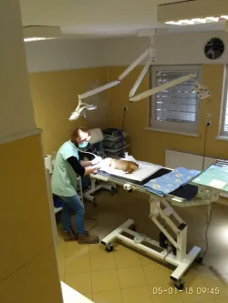 Fotografia miesta 10 od Veterinárna ambulancia BIELY KRÍŽ - MVDr. Ivan Kostúr