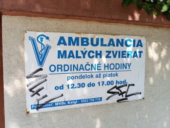Fotografia miesta 7 od Ambulancia Malých Zvierat - MVDr. Karol Kaigl
