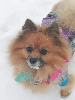Fotografia miesta 2 od Veterinárna ošetrovňa Sliač - MVDr. Richard Olajec