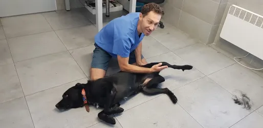 Fotografia miesta 5 od Veterinárna ošetrovňa Sliač - MVDr. Richard Olajec