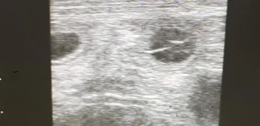 Fotografia miesta 6 od Veterinárna ošetrovňa Sliač - MVDr. Richard Olajec