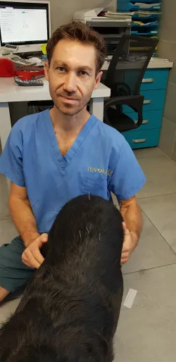 Fotografia miesta 7 od Veterinárna ošetrovňa Sliač - MVDr. Richard Olajec