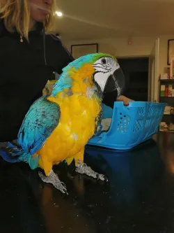 Fotografia miesta 4 od Veterinárna ambulancia - MVDr. Anna Grácová