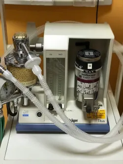 Fotografia miesta 5 od VETGUARD veterinárna klinika - MVDr. Juraj Šimek