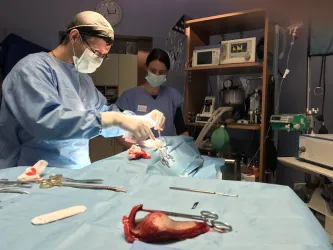 Fotografia miesta 7 od VETGUARD veterinárna klinika - MVDr. Juraj Šimek