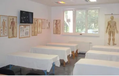 Fotografia miesta 1 od REMAS PIEŠŤANY s.r.o. - Mgr. Miroslav Masár