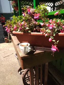 Fotografia miesta 7 od ZAMAS - Masérska škola - Eva Kačková