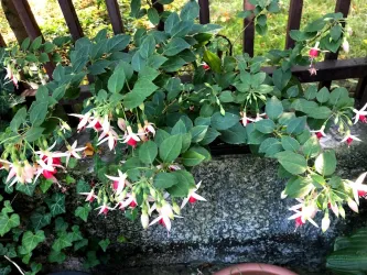 Fotografia miesta 8 od ZAMAS - Masérska škola - Eva Kačková