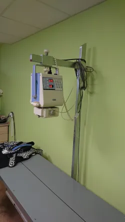 Fotografia miesta 4 od AB-VET veterinárna ambulancia - MVDr. Alena Bernátová