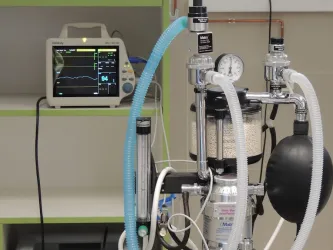 Fotografia miesta 10 od Veterinárna Klinika Žilina s.r.o. - MVDr. Branislav Bajužík