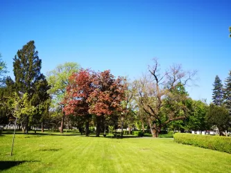 Fotografia miesta 3 od Veterinárna ošetrovňa - MVDr. Ivan Hrdlík
