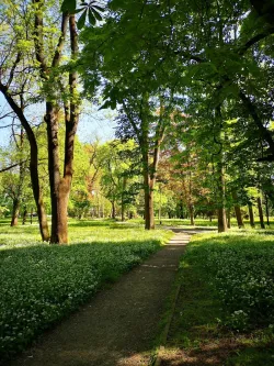 Fotografia miesta 8 od Veterinárna ošetrovňa - MVDr. Ivan Hrdlík