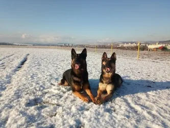 Fotografia miesta 4 od VET4yourPET - veterinárna ambulancia - MVDr. Martin Šmiček