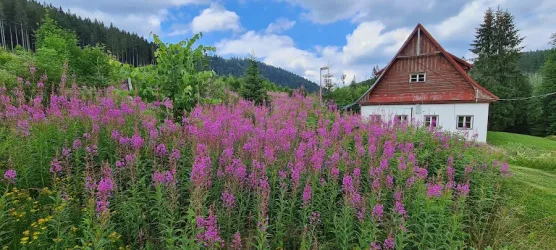 Fotografia miesta 1 od Detská ozdravovňa Železnô - Magdaléna Hrdinová