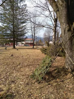 Fotografia miesta 3 od TaRCH ambulancia - MUDr. Vlasta Ružiaková