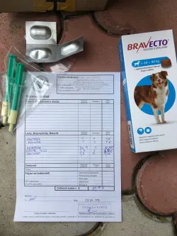 Fotografia miesta 4 od 1. veterinárna ambulancia - MVDr. Ján Korim