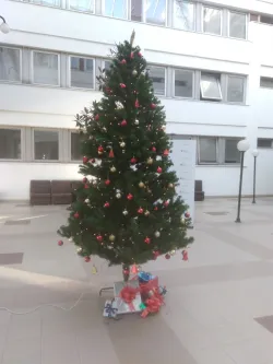 Fotografia miesta 3 od Ministerstvo zdravotníctva SR