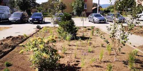Fotografia miesta 2 od Lekareň Zdravie - Mgr. Eva Pregová