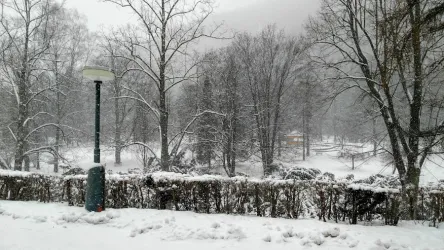 Fotografia miesta 4 od Detské oddelenie NEDU - prim. MUDr. Eva Mendelová