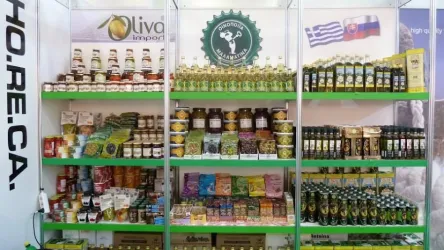 Fotografia miesta 4 od OLIVA Import