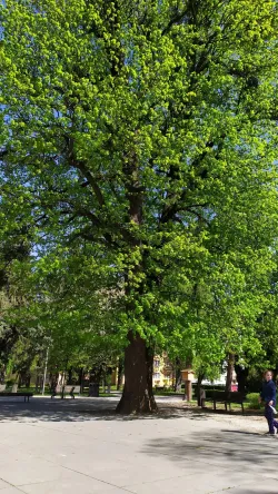 Fotografia miesta 7 od Chirurgická ambulancia - MUDr. Ján Rosa