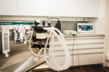 Fotografia miesta 10 od Veterinárna ambulancia Vetanet - MVDr. Aneta Szakállová